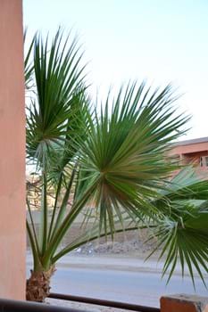 Spacious 3 bedroom apartment 